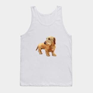 Dachshund Wire Haired Red Beauty! Tank Top